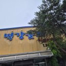벽강물회 | 물회하면! 대구 북구에 위치한 &lt;벽강물회!&gt; 리얼 후기 :)