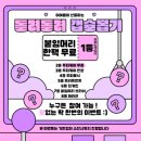 어여쁨 | 대구붙임머리 어여쁨 다녀온 후기 테무 부분 가발 망한썰