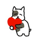 박경규항아리보쌈덕소점 이미지