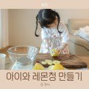 채열농장 | 아이와 레몬청 만들기 간단하게 해본 후기