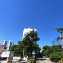 영대공인중개사사무소 이미지