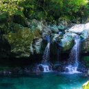 돈내코로 이미지