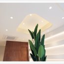 자연주의약국 이미지