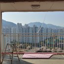 영림철거 이미지