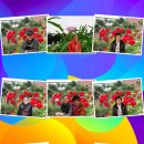 연희노인문화센터 이미지