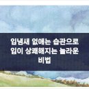 건강이치과 네이버블로그