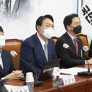 (주)나도주개 이미지