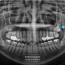 서울쏙쏙치과의원 이미지