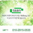 대우이안 이미지