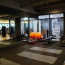 SMART GYM | 💪김포 고촌 헬스장 추천! G1 PT SMART GYM 직접 다녀온 솔직 후기🧡