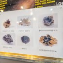 서울한마음치과의원 이미지