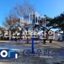 경희초등학교 티스토리