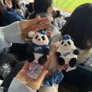 복영이의 봄 일상