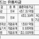 부동자금 어디 몰리나 분석해 봤더니… 이미지