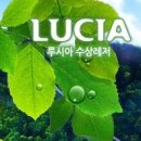 엠앤엠펜션 이미지
