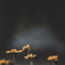 경희대 스타 태권도장 이미지