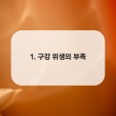 다홍치과의원 이미지