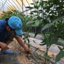 김학렬농장 이미지