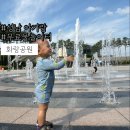 화랑공원 | 성남아기랑 무료 물놀이장 분당 화랑공원 물놀이터 바닥분수 후기