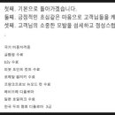 HAIR STORY(헤어스토리)