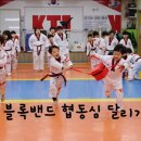 경희대솔밭태권도
