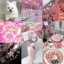 리코스타 코인노래연습장 이수점 | 도대체 뭘 자꾸 처하라는 건지 난 이미 처하고 있는데