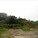 금일읍-1 이미지