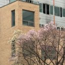 씨유행신21단지점 | 고양 행신 소식 이모저모 (26년 3월)