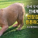 한일철강(주)