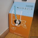 도그-in 하우스 | 고양이 숨숨집 그램도그 우유팩 하우스 스크래쳐 박스 내돈내산후기