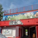 아날로그데이 이미지