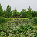 장자호수공원 이미지