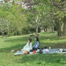 트래블 서치 이미지