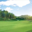 NEW 스크린 골프 이미지