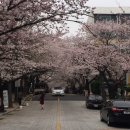 동대떡집 - 서구 구덕로286번길 44 | 동대떡집