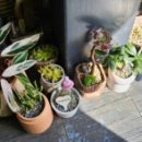 빅스토아 이미지