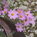 화서지몽 이미지