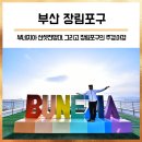 꿈꾸는풍차 | 부산 장림포구 : 한국의 베네치아를 꿈꾸는 부산 부네치아 주경,야경 (부산여행/부산 가볼만한곳/장림항...