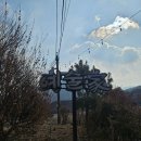 대구펜션팔공산펜션정원 | 대구 근교 팔공산 단체 펜션_ 칠곡 예술가 | 내돈내산, 숙박후기 ⎷