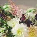 중앙장의사 이미지