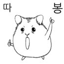 드림스포츠농구교실