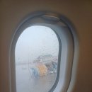 동화 속 바다여행 | 3박 4일 제주가족여행 아쿠아플라넷 함덕해수욕장 제주중앙성당 동화마을 귤밭 파라타항공