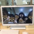 힐링요가(1반) | 방학일상
