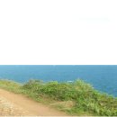 너에게로 가는 길 이미지