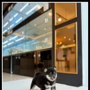 아이러브 독 이미지