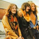 HEAVEN DOG 이미지