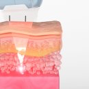 이사벨라여성의원 이미지