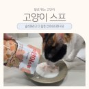 더캣 - 종로구 난계로 259 | 고양이스튜 음수량 늘리기 추천 더캣 크림밀크스튜 산양유 넣은 습식 간식 후기