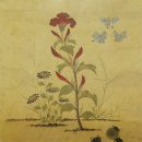 [심상훈의 금상첨화(金相添畵)] (63) 김경미 &#39;맨드라미와 나&#39;와 앙리 마티스 &#39;책 읽는 여인&#39;