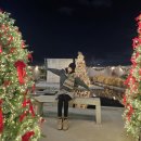 예스김밥카페 | 부산 트리 카페 사상 오르디 크리스마스 명소 1순위